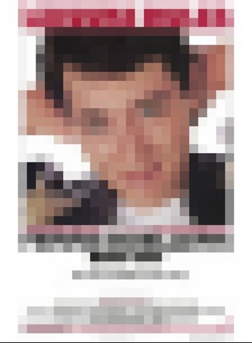 Pixilated Image.jpg