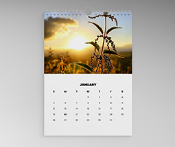 2023 Wall Calendars