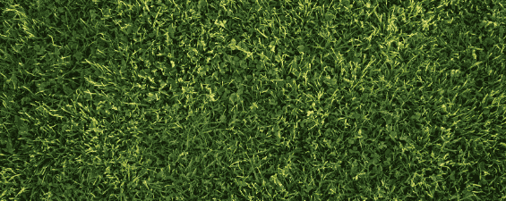 What Does FSC® Stand for and Why is it Important for Print?